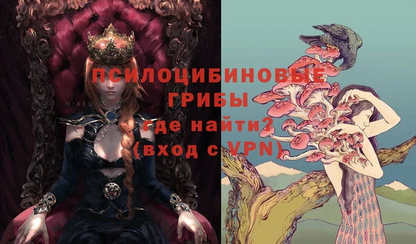 дмт Няндома