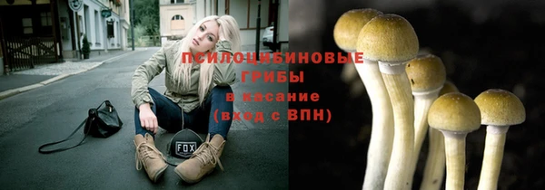 дмт Няндома