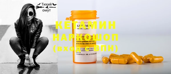стаф Новозыбков