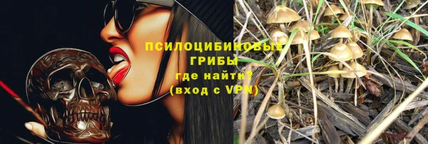 MDMA Premium VHQ Нязепетровск