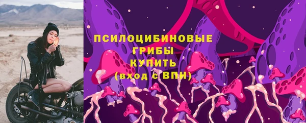 MDMA Premium VHQ Нязепетровск