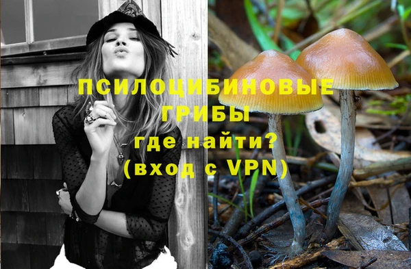дмт Няндома