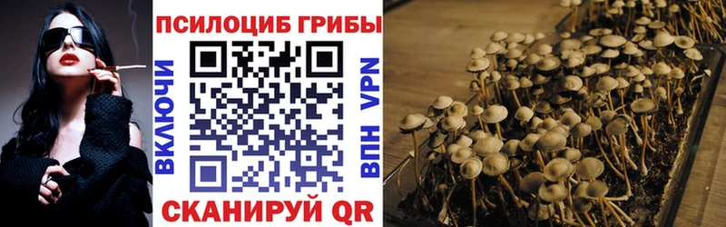 Псилоцибиновые грибы Cubensis  Купить где  Конаково 